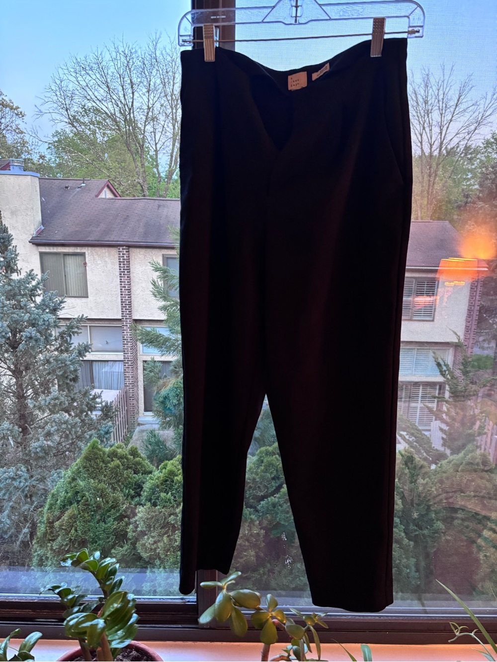 a new day Black Womens Dress Pants - Tailored Straight Leg